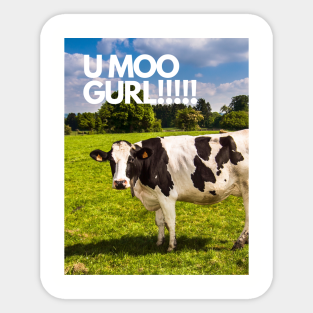 moo stickers
